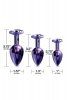 Nixie metal butt plug trainer set, purple metallic